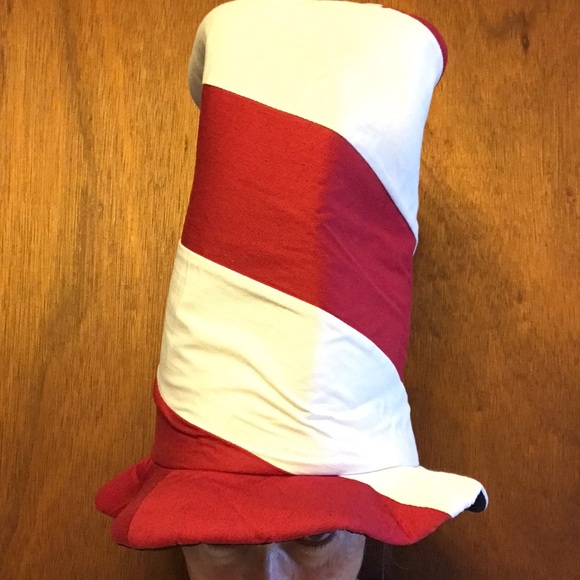 Cat in the hat costume - Picture 4 of 5